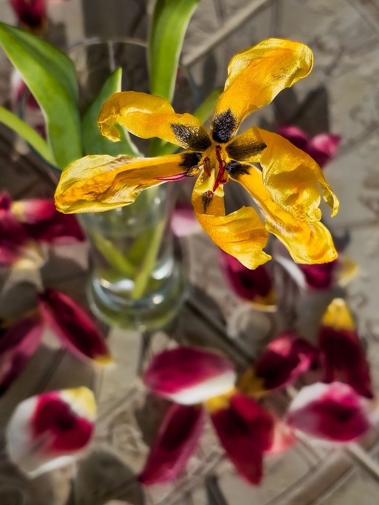 Photograph by Сергей Кесаев