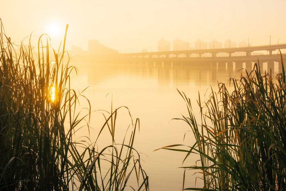Фотография автора Валерий Лушин