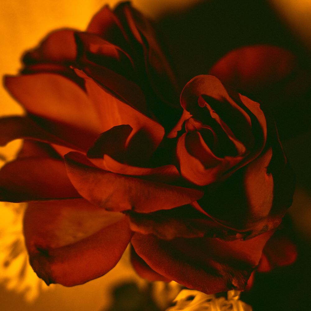 Photograph by Георгий Манаков
