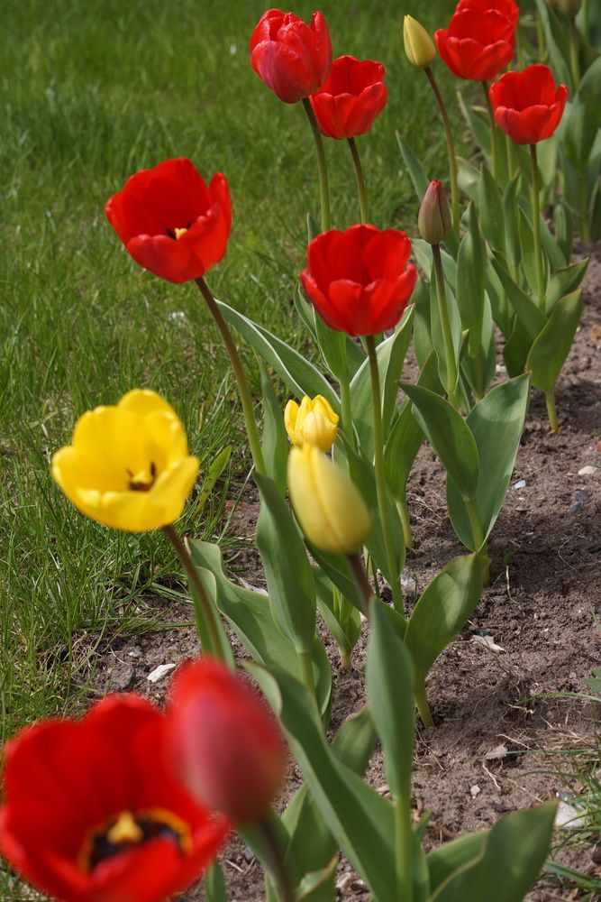 Photograph by Oksana Smorodina