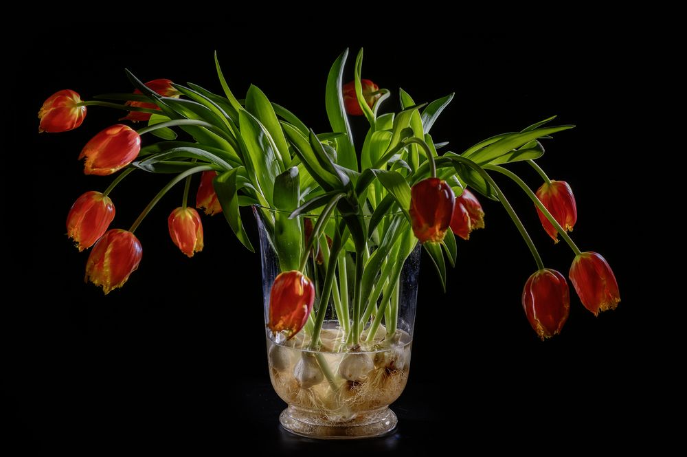 Photograph by Irina Grigoryeva