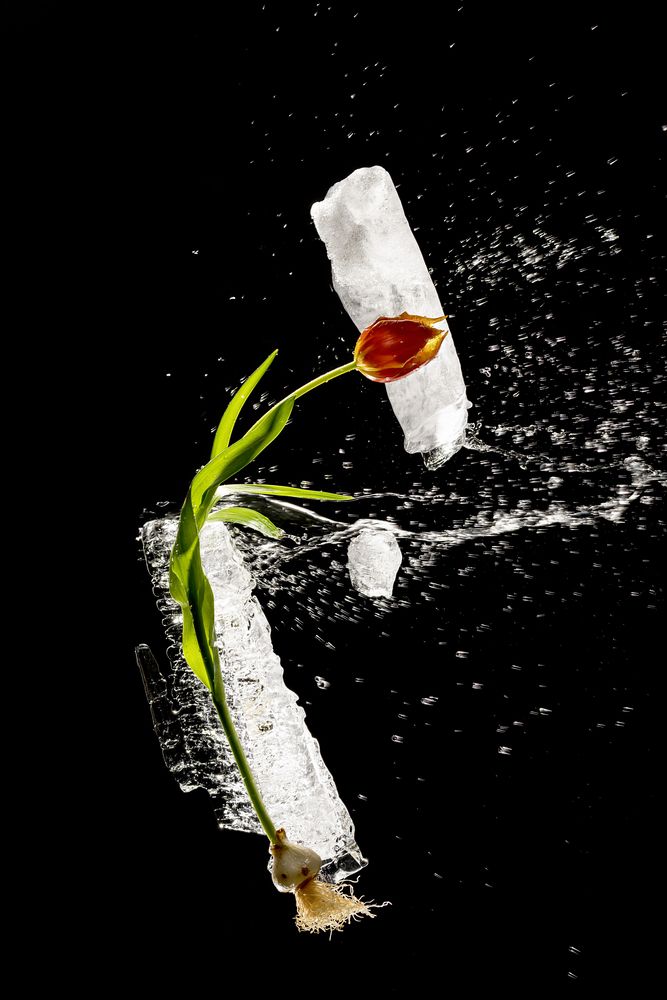 Photograph by Irina Grigoryeva