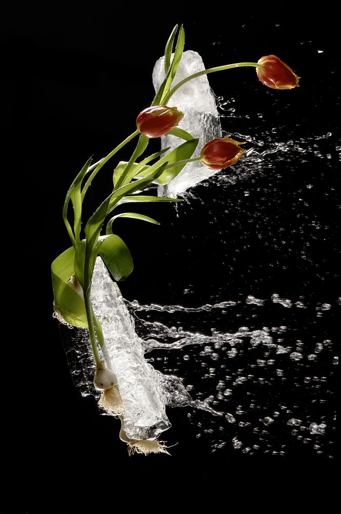 Photograph by Irina Grigoryeva