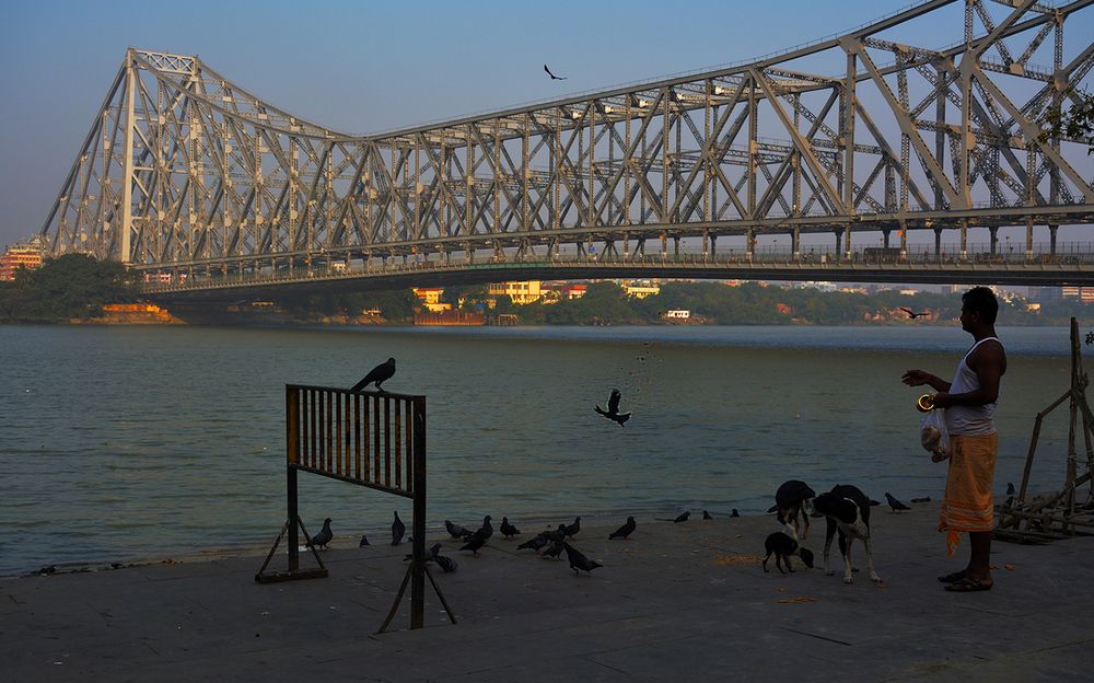 Фотография автора Nilanjan Saha