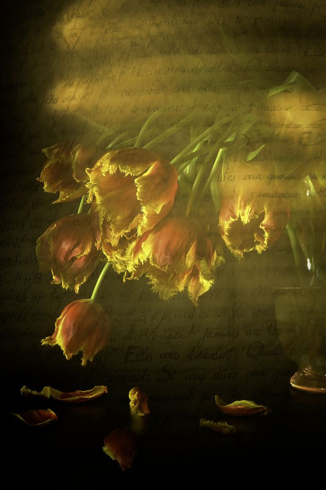 Photograph by Irina Grigoryeva