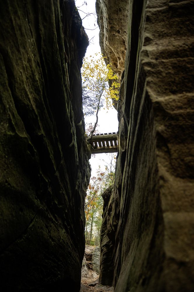 Photograph by Irina Grigoryeva