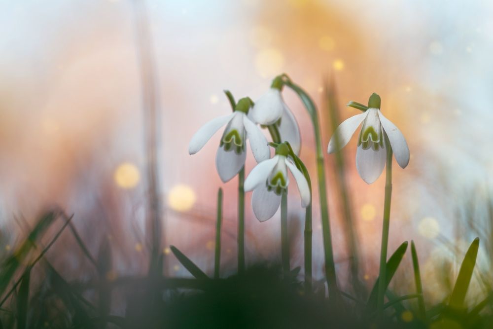 Photograph by Kveta Novotna