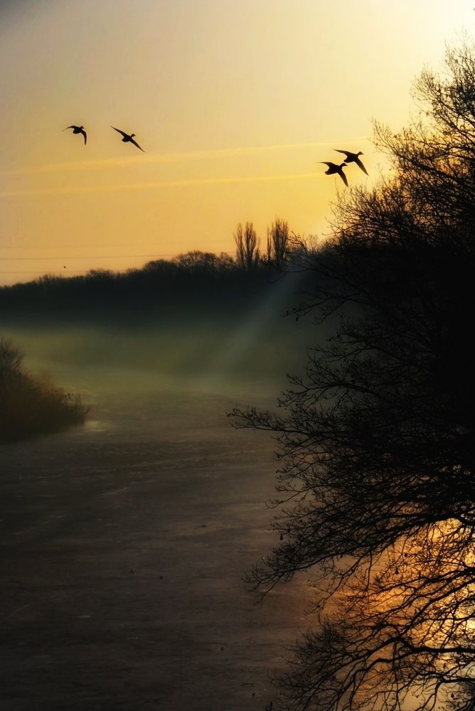 Photograph by Stella Szpinek