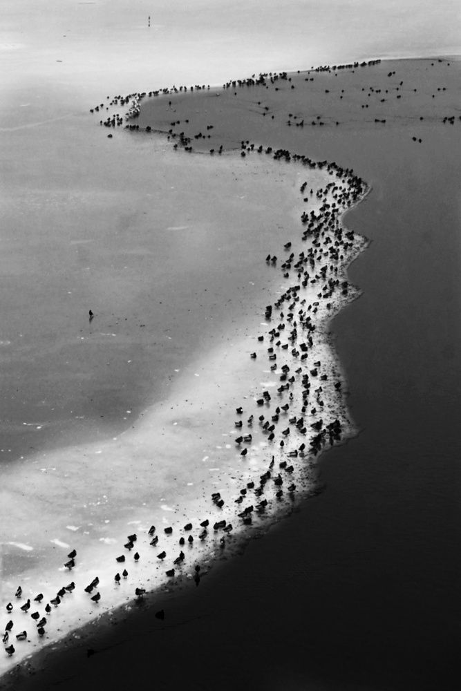 Photograph by Stella Szpinek