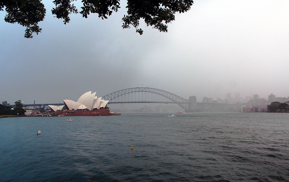 Photograph by Shreeharan Rajasingham