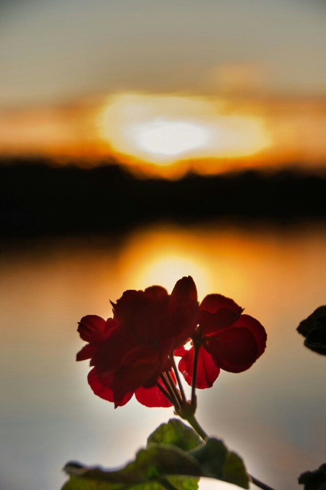 Фотография автора Eletskikh Georgii