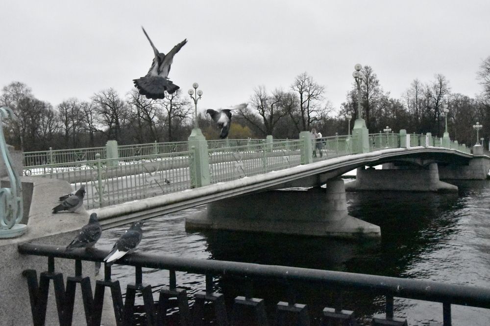 Photograph by Константин Калмыков