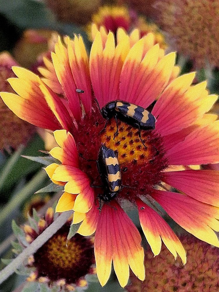 Фотография автора Наталья Гаврилова