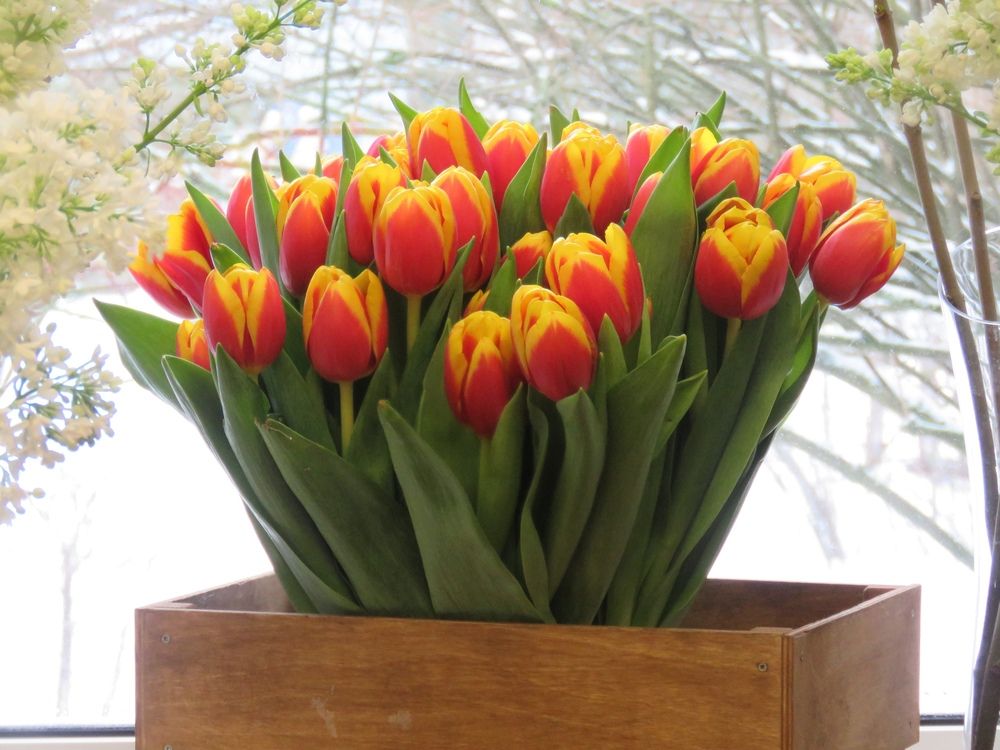 Photograph by Валерия Яскович