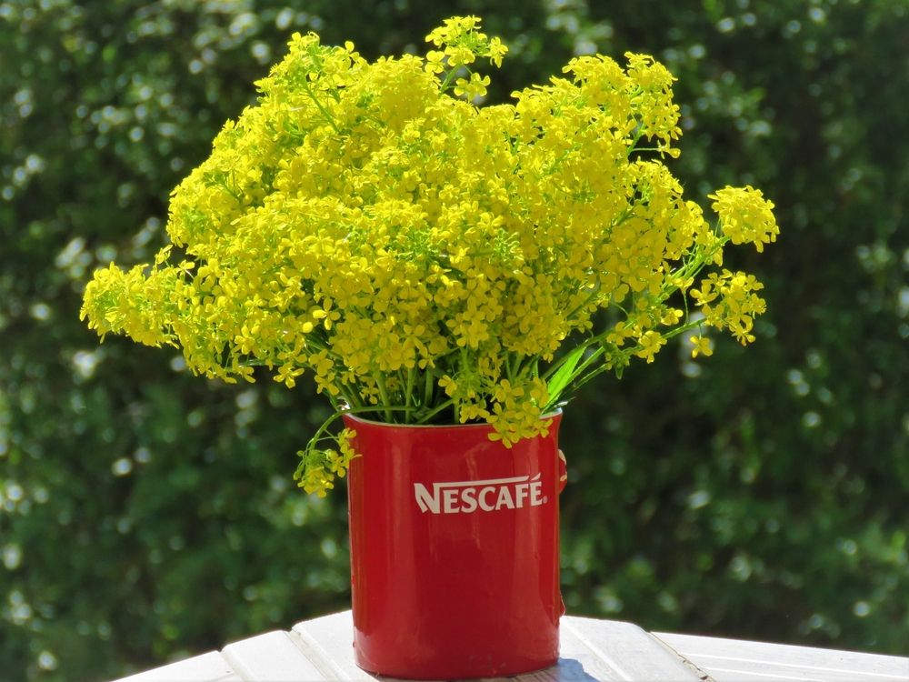 Photograph by Валерия Яскович