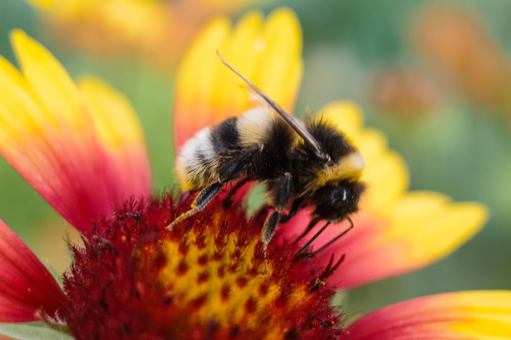 Photograph by Алла Никушкина