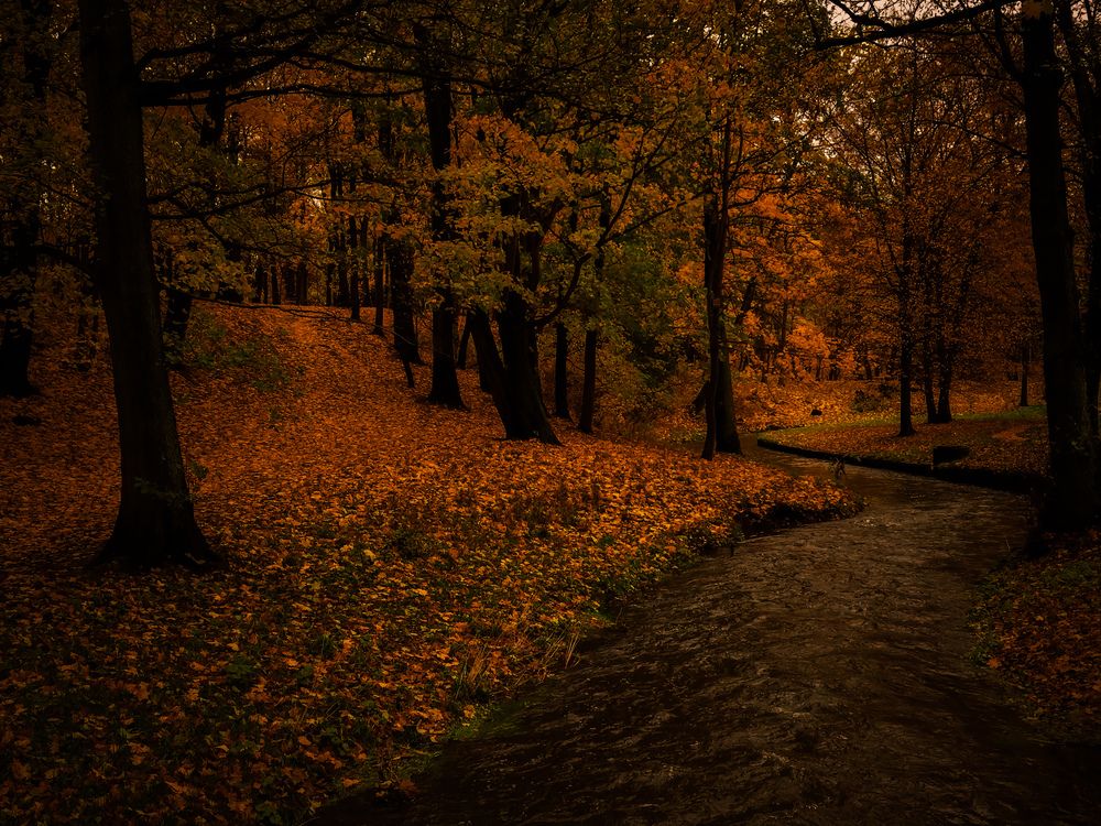 Photo #13424143