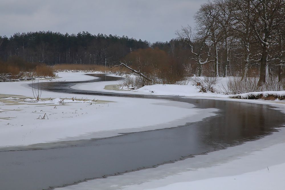 Фотография автора Николай Протасеня
