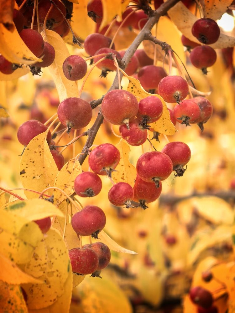 Фотография автора Кривенко Владимир