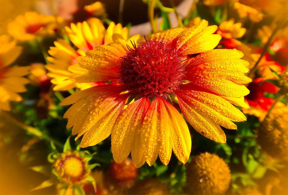 Photograph by Нина