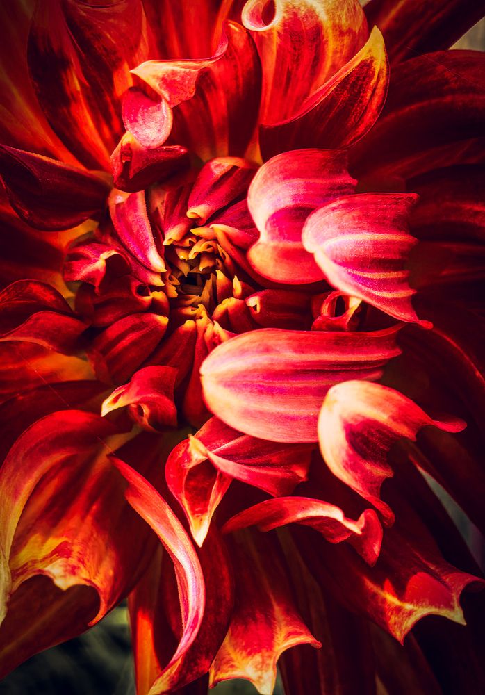 Photograph by Инна Невар