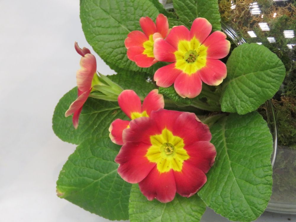 Photograph by Валерия Яскович