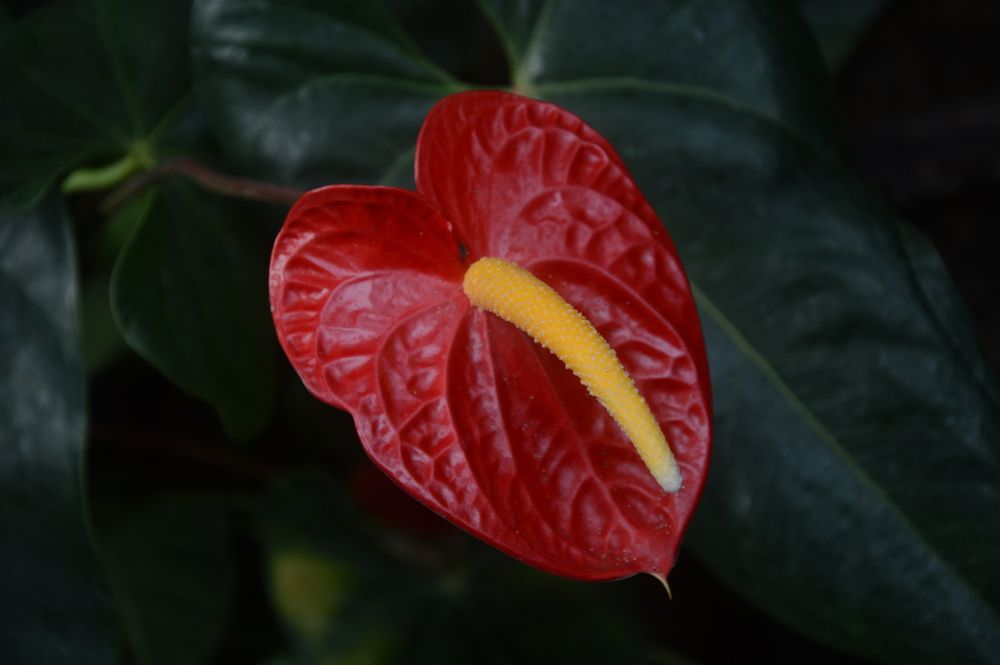 Photograph by Jozef Potocký