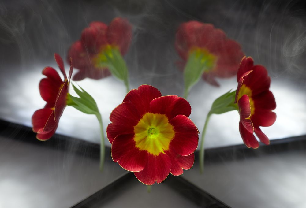 Photograph by Prometej