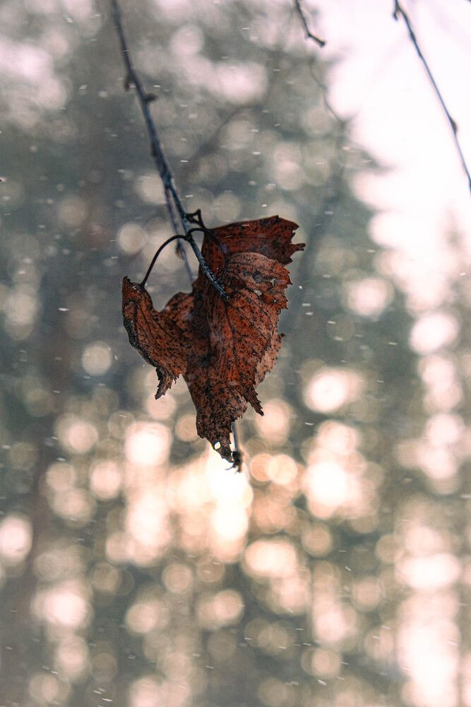 Photograph by Альберт Габбасов