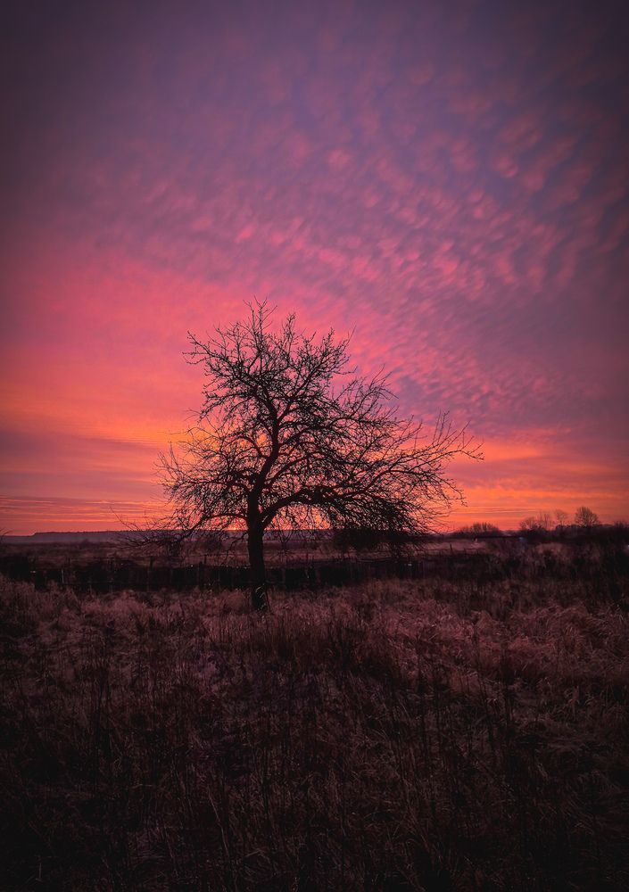 Photograph by Инна Невар