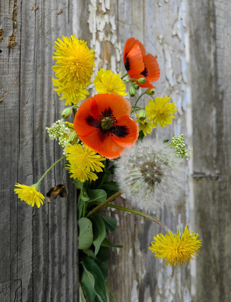 Photograph by Ульяна Кузьмина