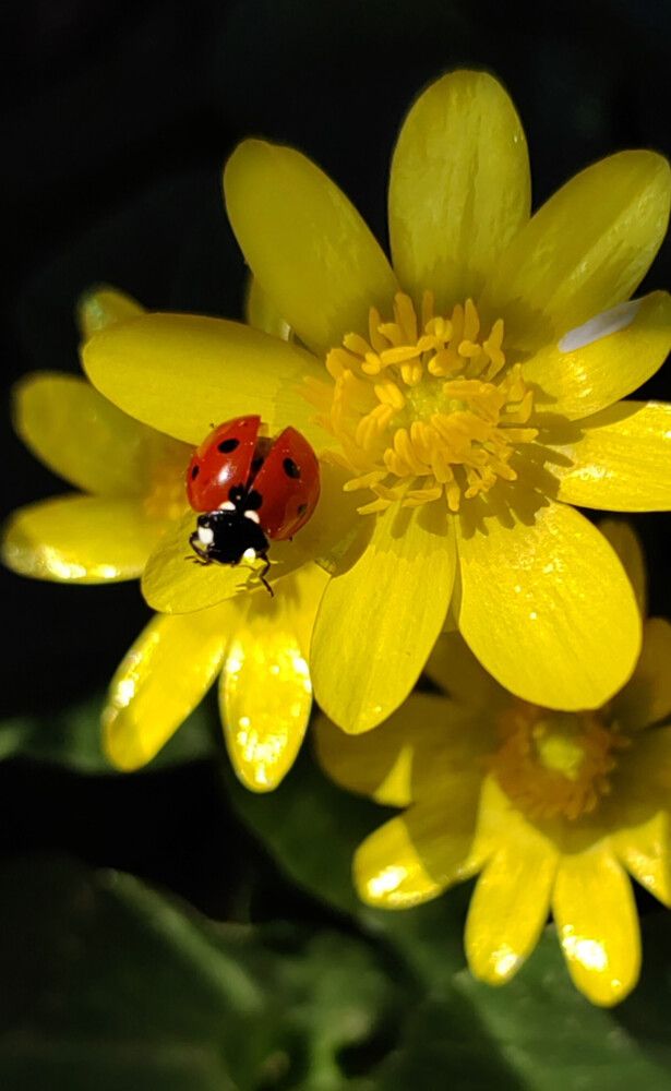 Photograph by Ульяна Кузьмина