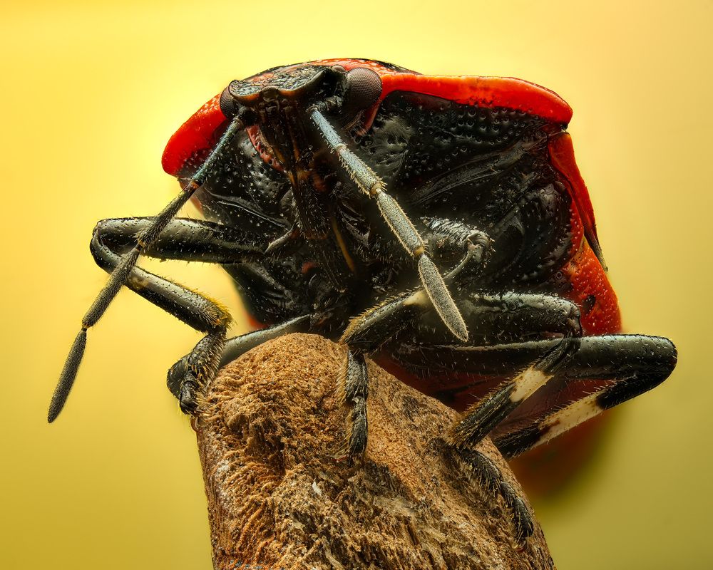 Photograph by Юрий Юрьевич Подгрушный