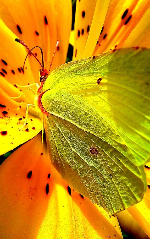 Photograph by Евгений Савулькин