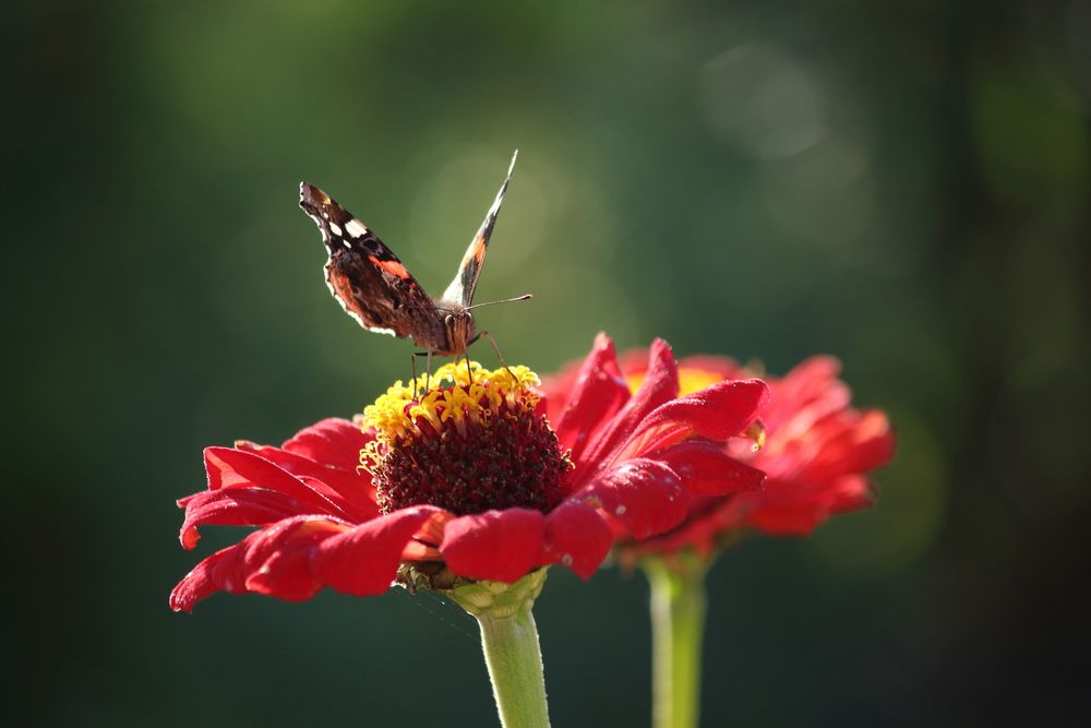 Photograph by Оксана Малахова