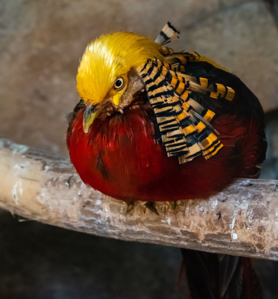 Photograph by Анна Стрелковская