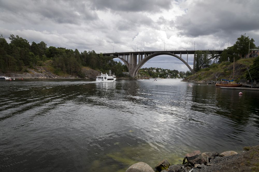 Фотография автора Lapland