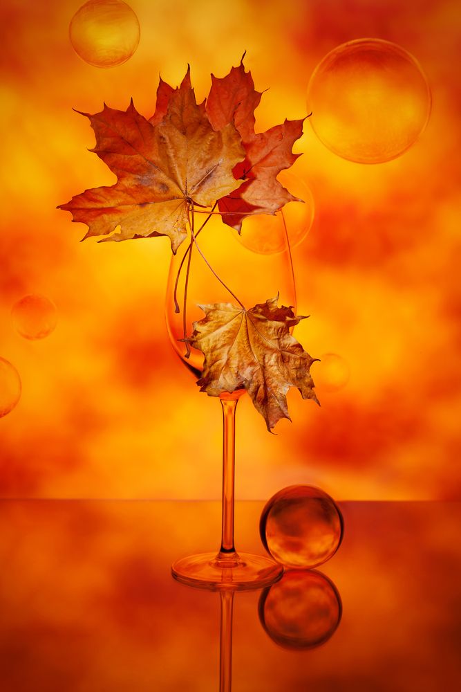 Photograph by Larianna Holm