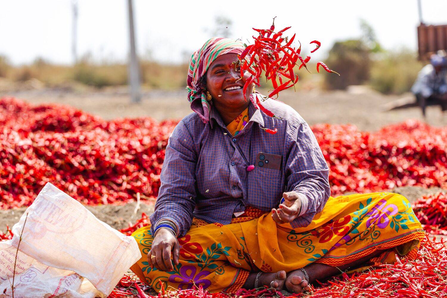 Farmer - Chili farming