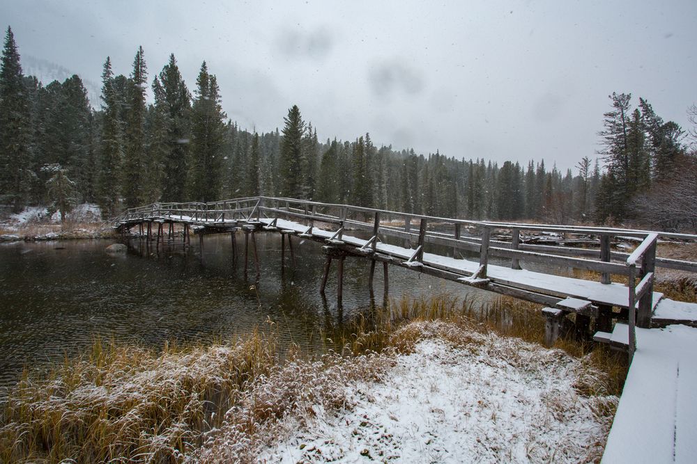 Фотография автора Юрий Литвинов