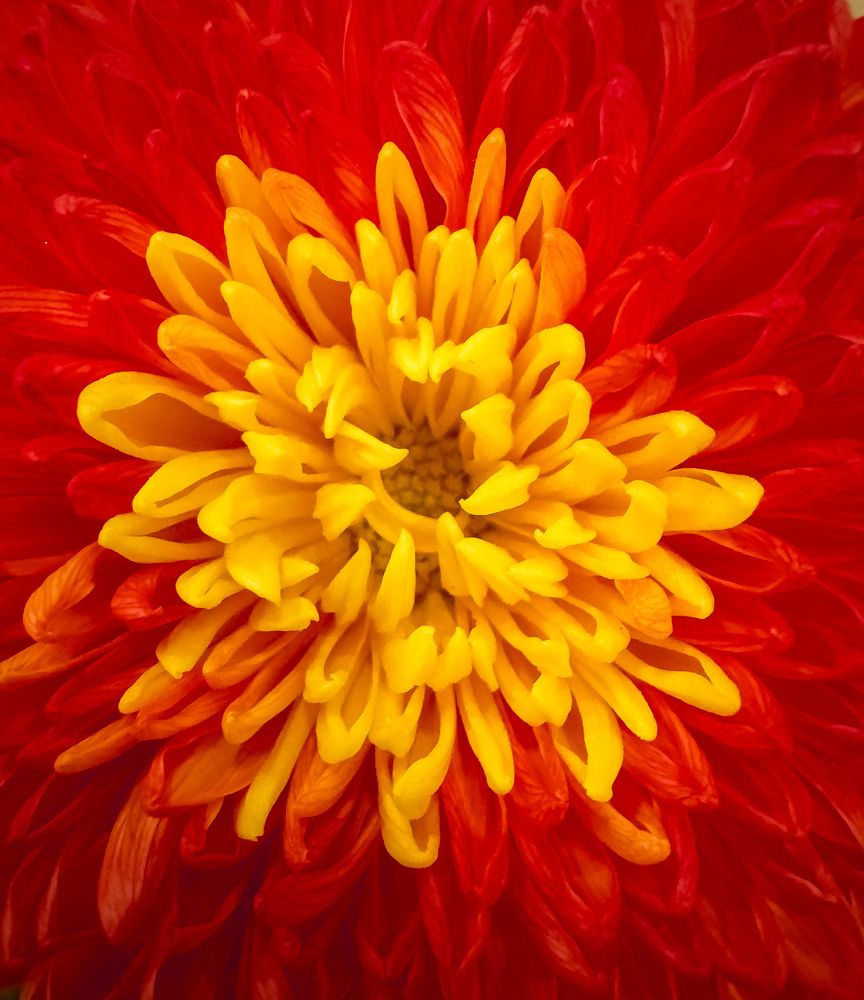 Фотография автора Марина Черникова