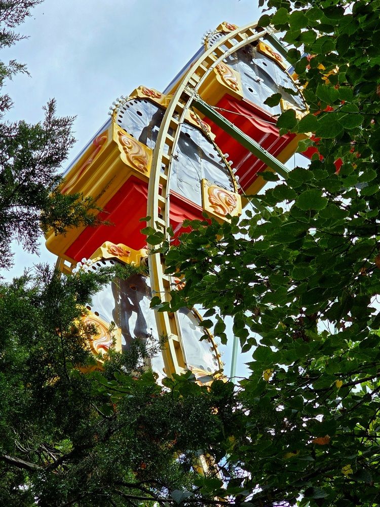Photograph by Лидия Лащева