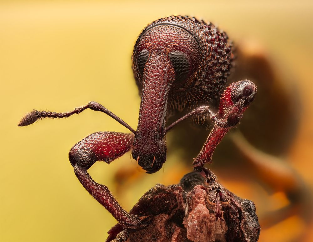 Photograph by Юрий Юрьевич Подгрушный