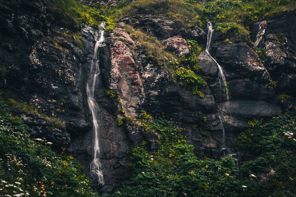 Фотография автора Tigran Simonyan