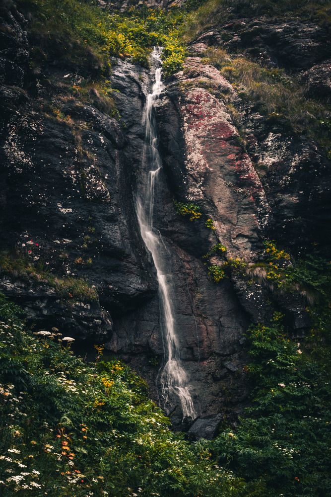 Фотография автора Tigran Simonyan