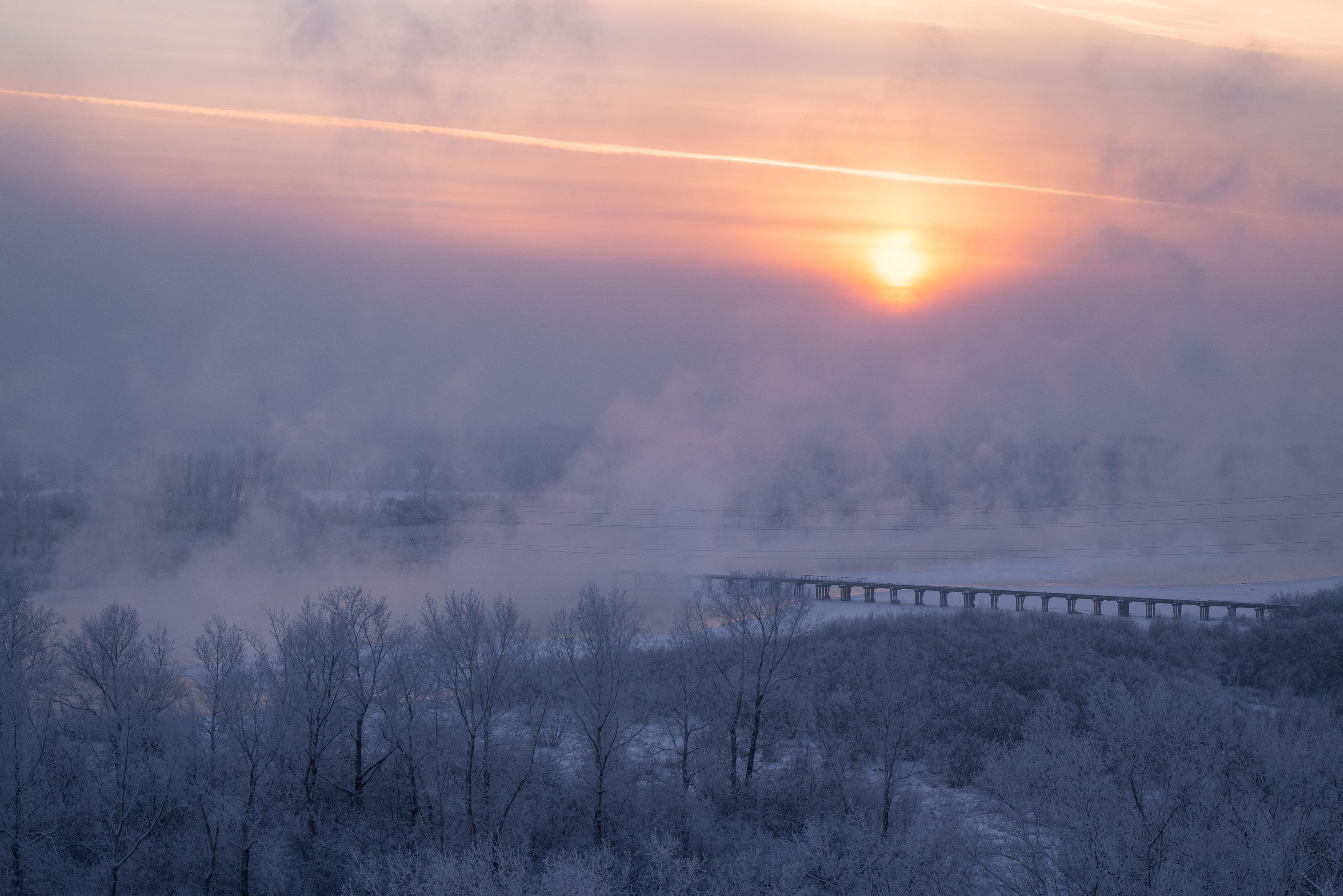 Photograph by Полина Матвеева