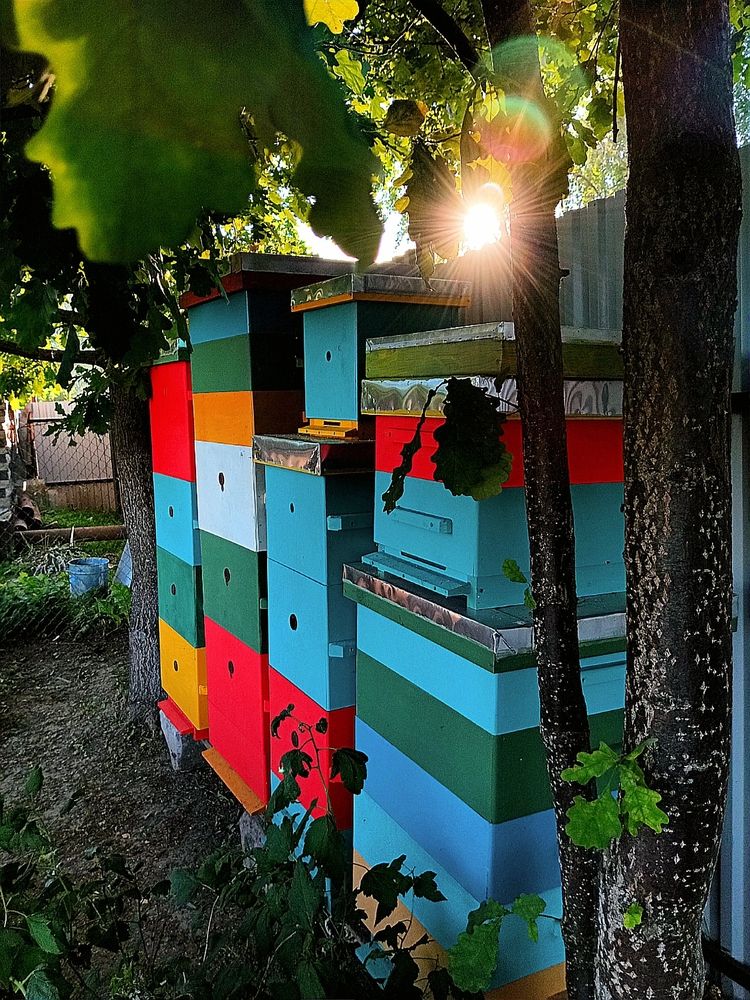 Photograph by Неля Кочурова