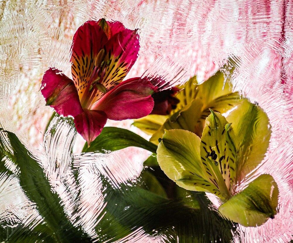 Фотография автора Дмитрий Воробьёв