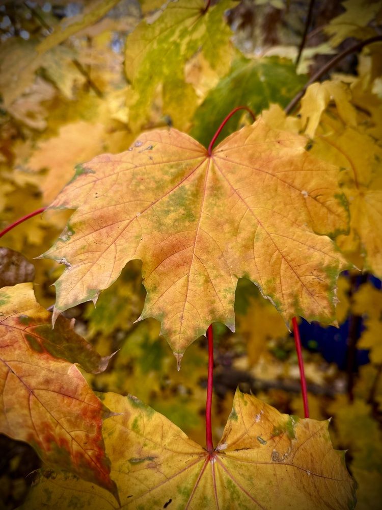 Photograph by Светлана