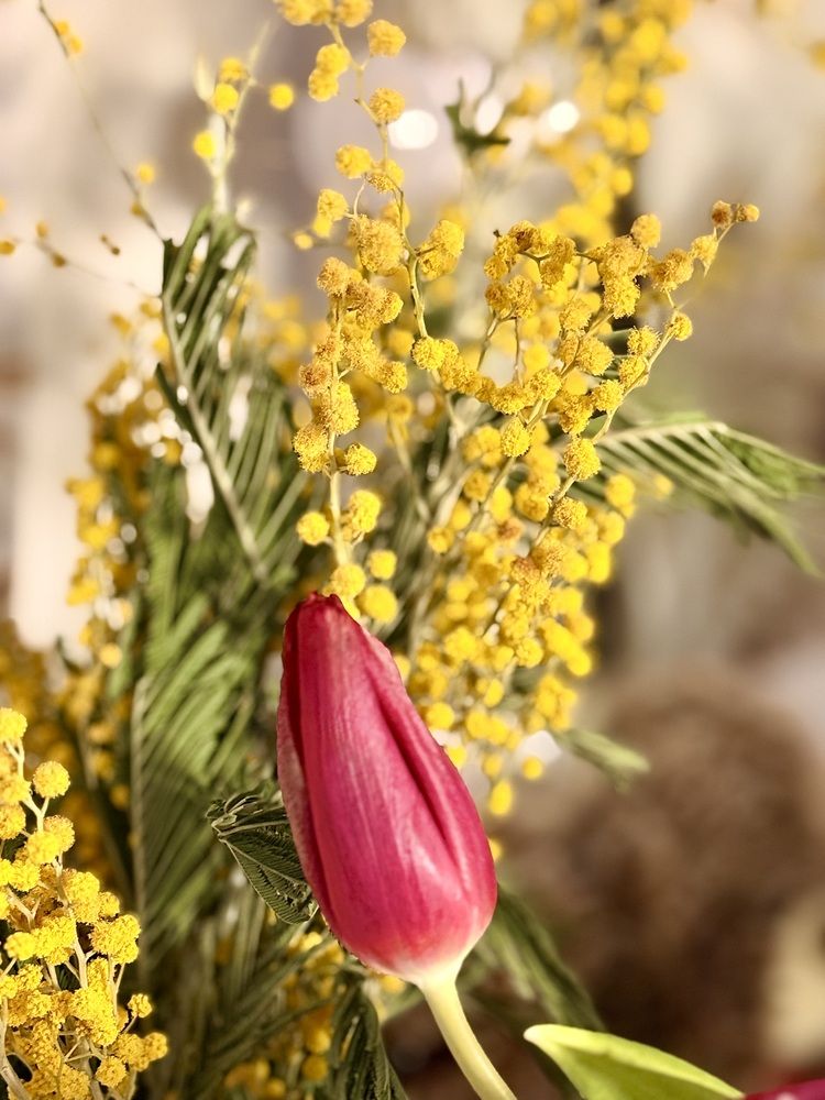 Photograph by Светлана